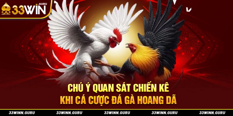 Chú ý quan sát chiến kê khi cá cược đá gà hoang dã