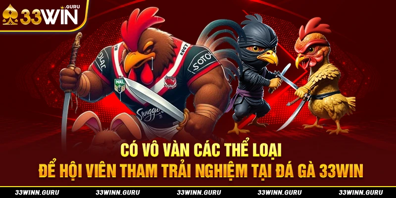 Có vô vàn các thể loại để hội viên tham trải nghiệm tại đá gà 33Win