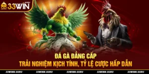 đá gà đẳng cấp