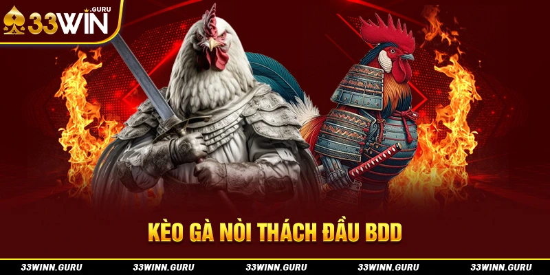 Kèo gà nòi thách đầu BDD