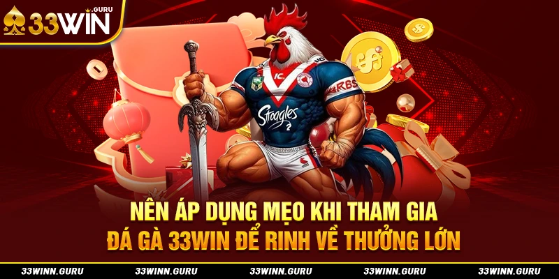 Nên áp dụng mẹo khi tham gia đá gà 33Win để rinh về thưởng lớn