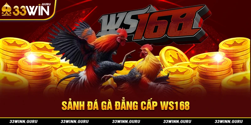 Sảnh đá gà đẳng cấp WS168