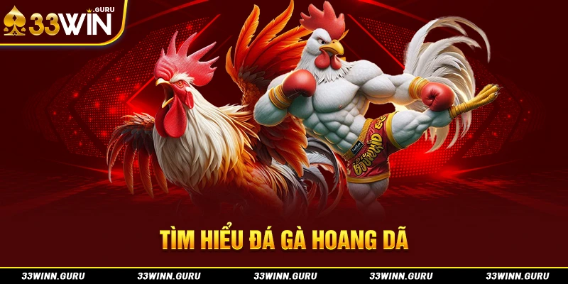 Tìm hiểu đá gà hoang dã