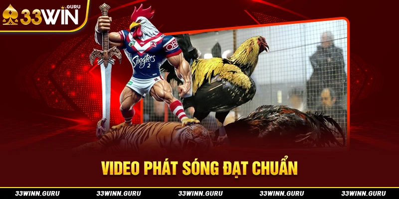 Video phát sóng đạt chuẩn